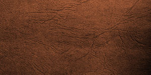 Brown Leather Texture