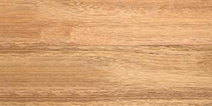 Slice of Pine Wood Texture