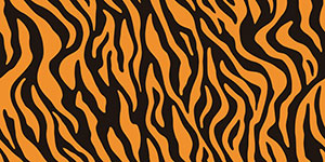 Tiger Stripes Pattern